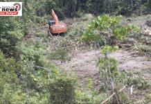 Ayam Mati Di Lumbung Padi Nasib Kelompok Tani Aceh Singkil, AHY Tolonglah Kami!