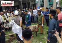 JAWARA BERSIMBAH DARAH