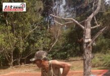 Si Kecil Layak Di Budidayakan Ke Dunia Pertanian