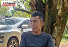 Usaha pertanian cengkeh (Syzygium aromaticum) yang dikelola Halim