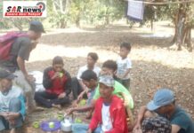 Petani Pemetik cengkeh di kebun Halim