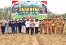 Wakil Bupati Simalungun Hadiri Penanaman Jagung Serentak 1juta Hektar di Kecamatan Gunung Malela