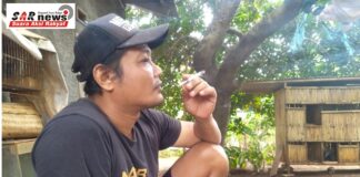 Dedi Suryadi Petani Milenial Di Era Modernisasi Yang Masih Mempertahankan Tradisi Bertani