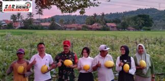 Petani Melon di Cilegon Disambangi Kepala Sub Garnisun Cilegon, Dapat Apresiasi atas Kerja Kerasnya