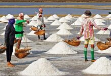 Garam Rakyat dan Asa Swasembada: Menjaga Harapan di Tengah Tantangan Kebijakan