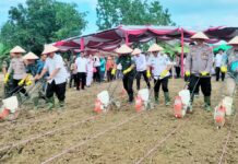 Wakil Bupati Simalungun Tegaskan Komitmen Dukung Program Nasional Swasembada Pangan.