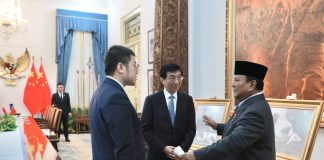 Satrio, Panda Pertama yang Lahir di Indonesia Setelah 10 Tahun Jadi Sorotan di Pertemuan Prabowo dan MPR China