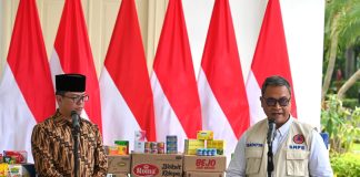 Menlu Sugiono Salurkan Bantuan Diplomat Peduli 2025 untuk Korban Bencana Sumatera Melalui BNPB