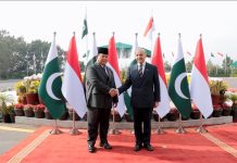 Prabowo Tegaskan Indonesia-Pakistan Dukung Kemerdekaan Palestina, Serukan Two-State Solution