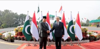 Prabowo Tegaskan Indonesia-Pakistan Dukung Kemerdekaan Palestina, Serukan Two-State Solution