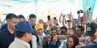 Cek Panen Raya di Karawang, Petani Antusias Bertemu Prabowo