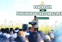 Bareng Petani di Karawang, Prabowo Umumkan Keberhasilan Indonesia Swasembada Pangan 2025