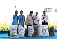 Prabowo Bangga Swasembada Pangan Tercapai dalam Setahun: Kita Berdiri di Atas Kaki Sendiri