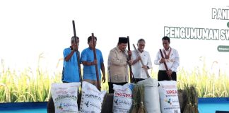 Prabowo Bangga Swasembada Pangan Tercapai dalam Setahun: Kita Berdiri di Atas Kaki Sendiri