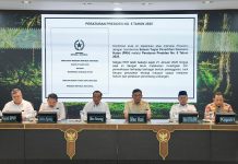 Prabowo Resmi Cabut Izin 28 Perusahaan Pelanggar Aturan di Provinsi Terdampak Bencana