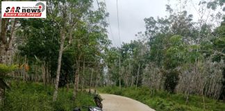 Sorotan Proyek Jalan Desa Beringin Dijawab dengan Klarifikasi