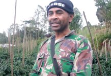 Petani NTT Bersyukur, 3.000 Pohon Buncis Terserap Semua Berkat MBG