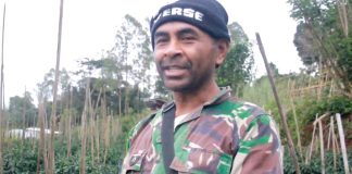 Petani NTT Bersyukur, 3.000 Pohon Buncis Terserap Semua Berkat MBG