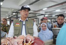Pemerintah Sidak Pasar Sepekan Terakhir, Harga Daging Hingga Cabai Terpantau Turun