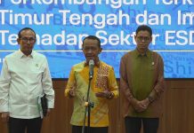 Antisipasi Penutupan Selat Hormuz, Pemerintah Alihkan Sumber Pasokan Minyak