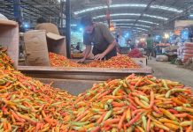 Stok Cukup, Harga Pangan Stabil, Petani hingga Konsumen Bahagia saat Lebaran
