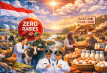 Satu Tahun Sukabumi Mubarokah: Prestasi Kesehatan Hewan Ternak