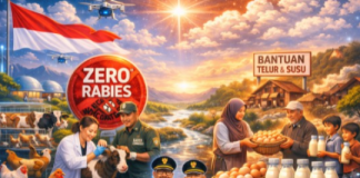 Satu Tahun Sukabumi Mubarokah: Prestasi Kesehatan Hewan Ternak