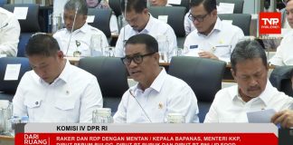 Pemerintah: Ketersediaan Jagung, Gula, hingga Telur Ayam Diproyeksikan Surplus Jelang El Nino “Godzilla”
