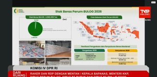 Pemerintah: Cadangan Beras Sentuh Level Tertinggi Hari Ini, Siap Hadapi El Nino