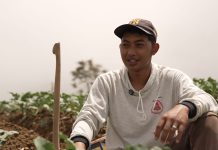 Petani Sayur di Boyolali Tersenyum Berkat MBG, Harga Naik dan Permintaan Meningkat