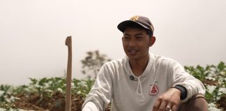 Petani Sayur di Boyolali Tersenyum Berkat MBG, Harga Naik dan Permintaan Meningkat