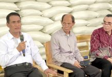 Simak! Bukti Kebijakan Pemerintah di Balik Swasembada dan Peningkatan Kesejahteraan Petani