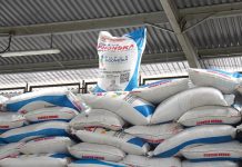 Di Tengah Krisis Pupuk Global, Prabowo Justru Pangkas Harga 20% untuk Petani