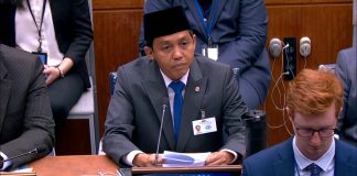 Di Forum PBB, Pemerintah Sampaikan Penurunan Kebakaran hingga Pengakuan Hutan Adat