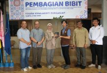 Legislator Gerindra Melati Salurkan 5000 Bibit dan Bantuan Pupuk, Dorong Warga Bangka Belitung