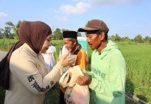 Tinjau Sentra Perbenihan Padi Bulungan, Hj. Rahmawati: Program Prabowo Bikin Petani Makin Optimistis