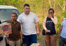 Kelilingi Wilayah Gempa NTT, Fernando: Ambulans Udara Sangat Dibutuhkan untuk Selamatkan Nyawa