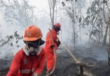 Atasi Karhutla Kalimantan, Modifikasi Cuaca Terus Dioptimalkan