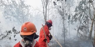 Atasi Karhutla Kalimantan, Modifikasi Cuaca Terus Dioptimalkan