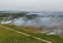 BNPB Perkuat Operasi Udara di Enam Provinsi Prioritas Karhutla