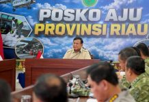 Prabowo Tak Main-Main soal Karhutla: Korporasi Terindikasi Bakar Lahan, Izin Dicabut