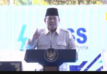 Luncurkan Program PLTS 100 GWp, Prabowo: Kita Akan Benar-Benar Berdiri di Atas Kaki Sendiri