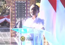 Menteri ESDM soal Proyek PLTS 100 GWp: Negara Bisa Hemat Rp 73,9 T per Tahun, Buka 5,5 Juta Lapangan Kerja