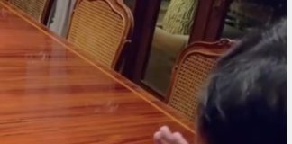 Prabowo Apresiasi Emas Pertama Indonesia di Asian Games 2026: Terus Berjuang, Harumkan Nama Indonesia