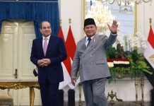 Indonesia-Mesir Tegaskan Solusi Dua Negara Kunci Perdamaian Palestina