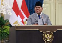 Prabowo dan El-Sisi Sepakat Perluas Akses Pasar dan Investasi, Bentuk Joint Investment Fund