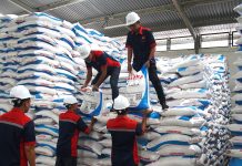 Dua Tahun Pemerintahan Prabowo: Harga Pupuk Turun 20 Persen, Kesejahteraan Petani Meningkat