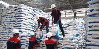 Dua Tahun Pemerintahan Prabowo: Harga Pupuk Turun 20 Persen, Kesejahteraan Petani Meningkat